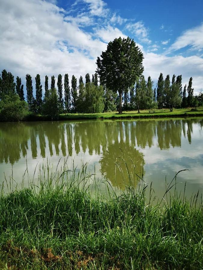 L'Oasis Des Dombes Hotel Amberieux-en-Dombes ภายนอก รูปภาพ